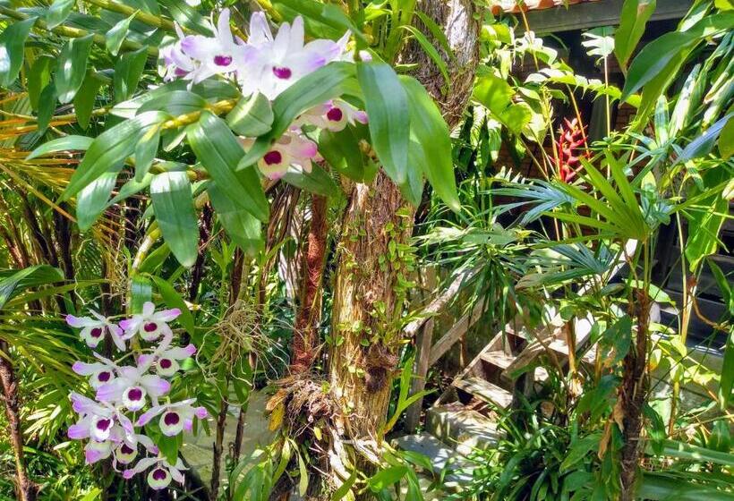 스탠다드 스튜디오, Morada Crisálida