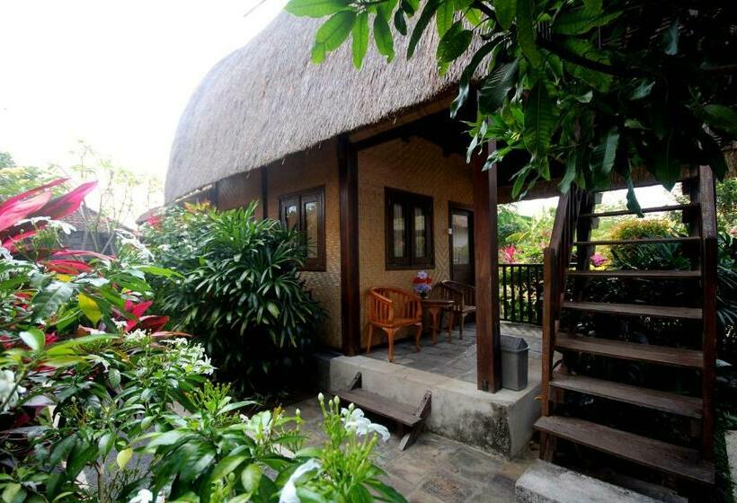 اتاق استاندارد, Rambo Homestay