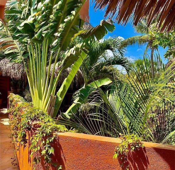 ویلای استاندارد با چشم‌انداز باغ, Casa Mixteca