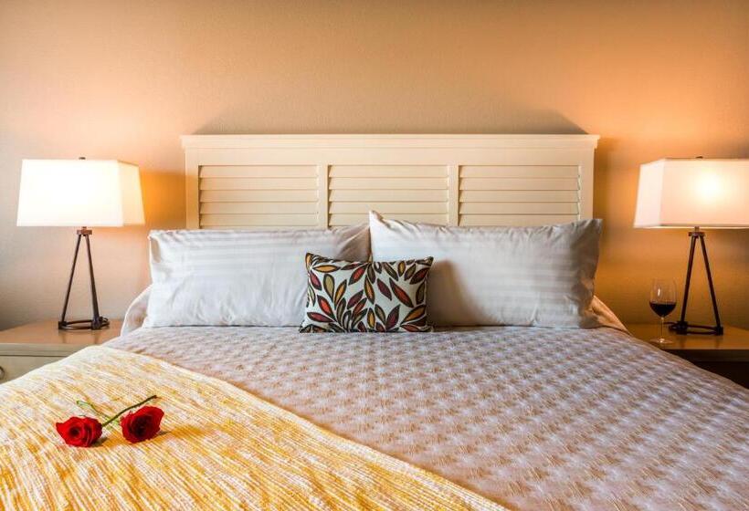 اتاق لوکس با تخت بزرگ, The Lodge At Columbia Point