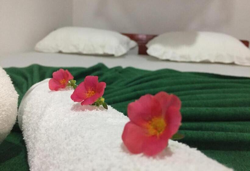 经济房, Chill House Safari Resort