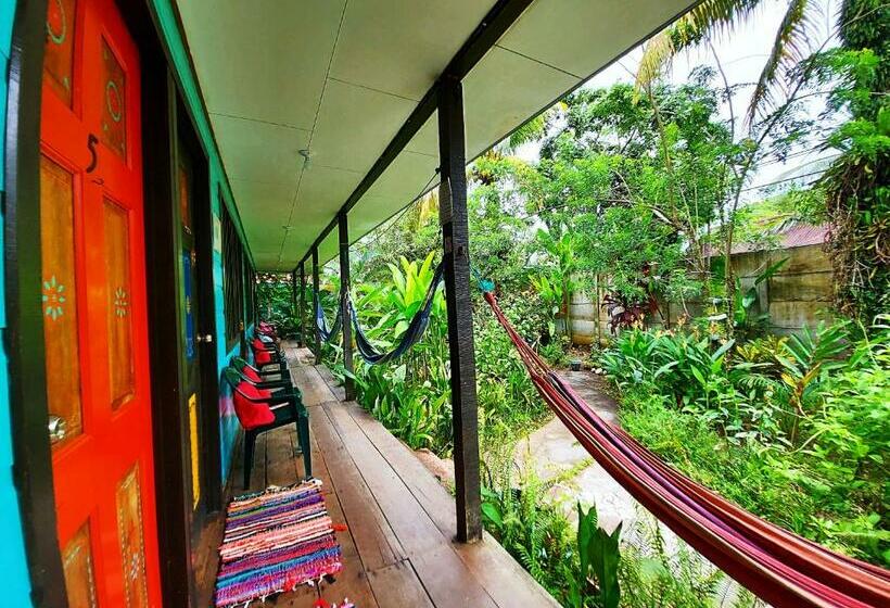 اتاق استاندارد, Cabinas Tortuguero