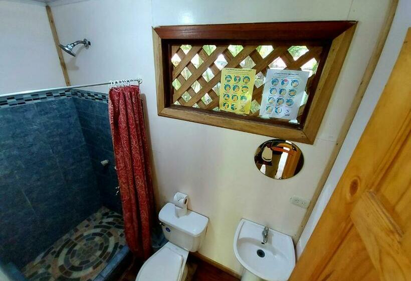 اتاق استاندارد, Cabinas Tortuguero
