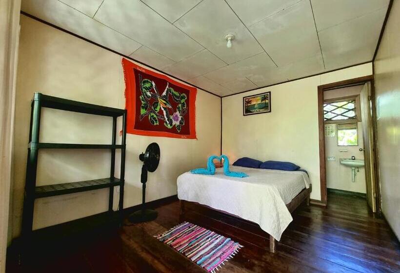 اتاق استاندارد, Cabinas Tortuguero