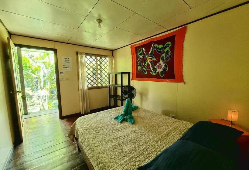 اتاق استاندارد, Cabinas Tortuguero