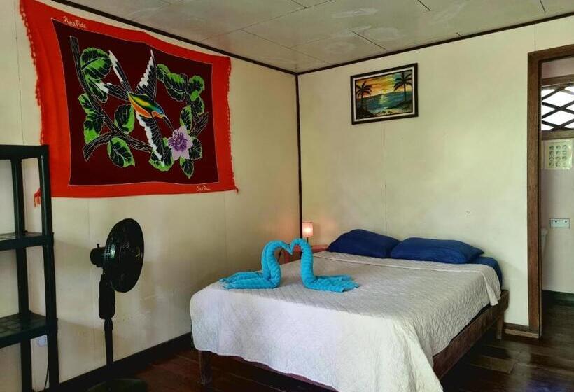 اتاق استاندارد, Cabinas Tortuguero