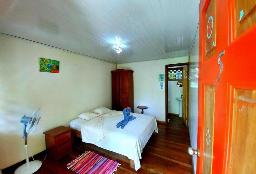 اتاق استاندارد, Cabinas Tortuguero