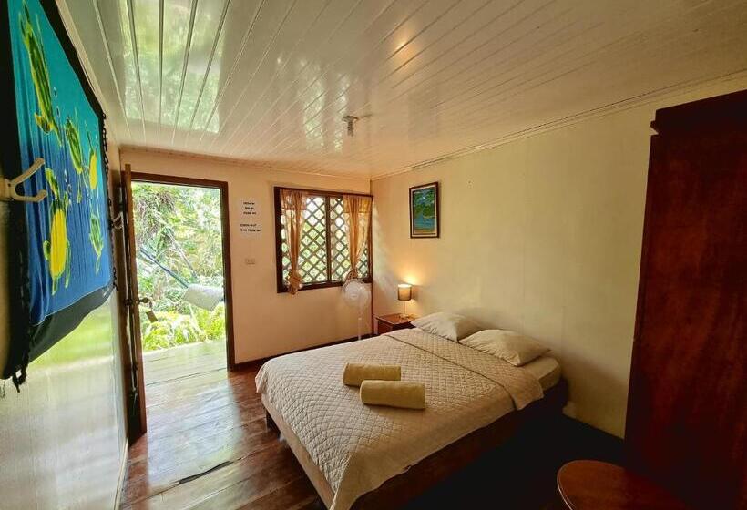 اتاق استاندارد, Cabinas Tortuguero