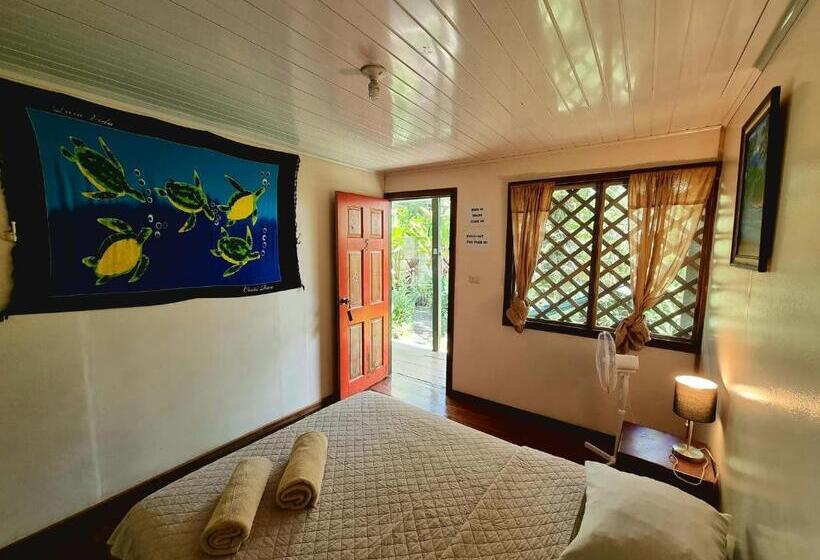 اتاق استاندارد, Cabinas Tortuguero