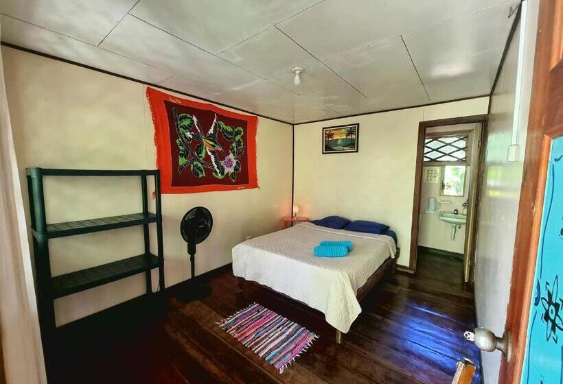 اتاق استاندارد, Cabinas Tortuguero