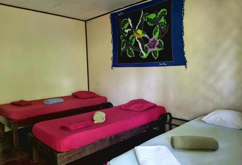 اتاق استاندارد, Cabinas Tortuguero