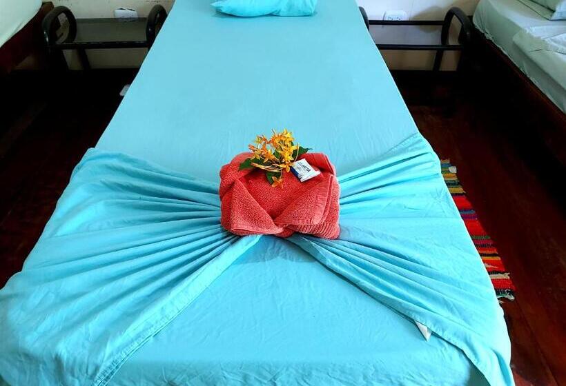 اتاق استاندارد, Cabinas Tortuguero