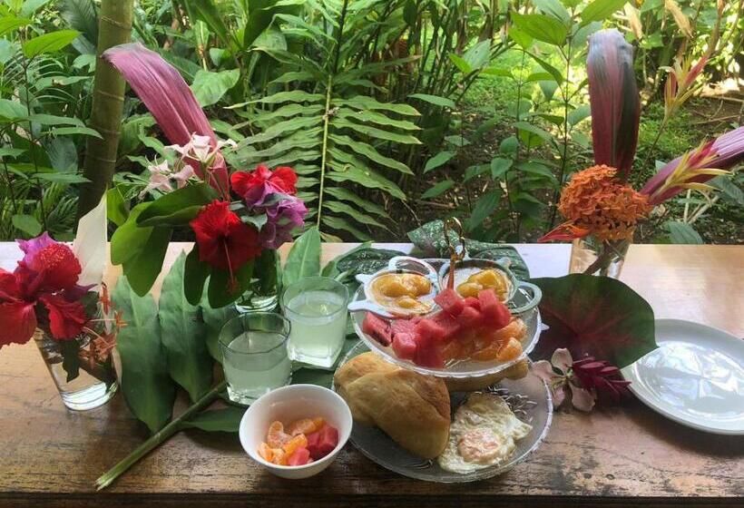 اتاق استاندارد, Cabinas Tortuguero