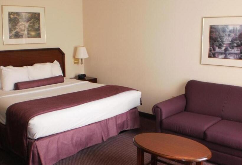 اتاق استاندارد با تخت بزرگ, Ashmore Inn And Suites Amarillo