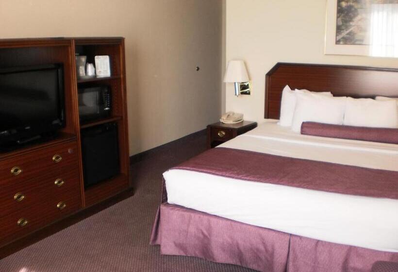 اتاق استاندارد با تخت بزرگ, Ashmore Inn And Suites Amarillo