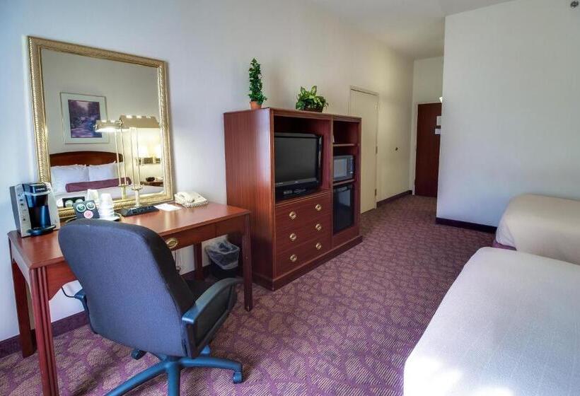 اتاق استاندارد با تخت بزرگ, Ashmore Inn And Suites Amarillo