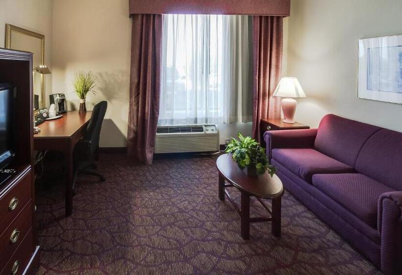 اتاق استاندارد با تخت بزرگ, Ashmore Inn And Suites Amarillo