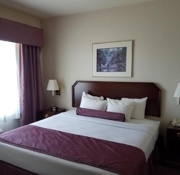 اتاق استاندارد با تخت بزرگ, Ashmore Inn And Suites Amarillo