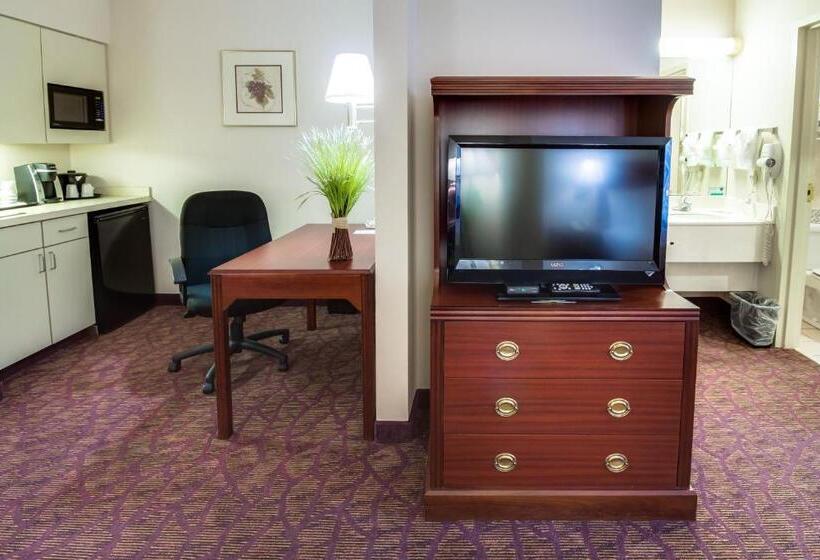 Deluxe Studio, Ashmore Inn And Suites Amarillo