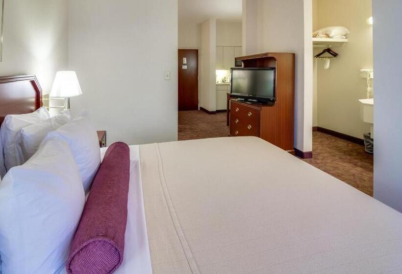 Deluxe Studio, Ashmore Inn And Suites Amarillo