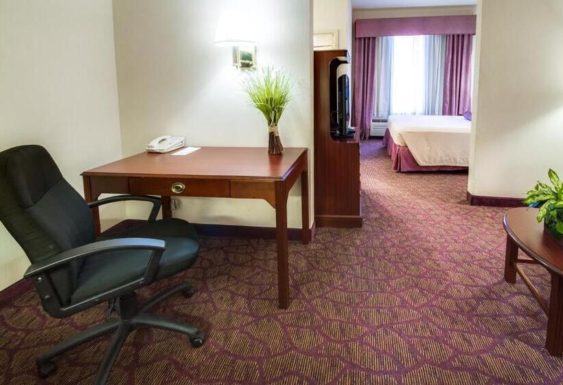 استودیو استاندارد با تخت کینگ, Ashmore Inn And Suites Amarillo