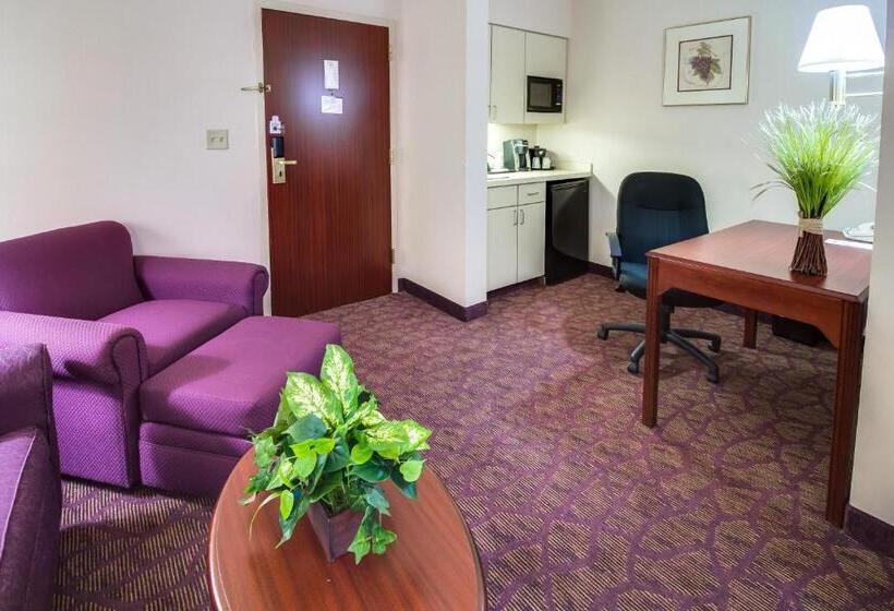 استودیو استاندارد با تخت کینگ, Ashmore Inn And Suites Amarillo