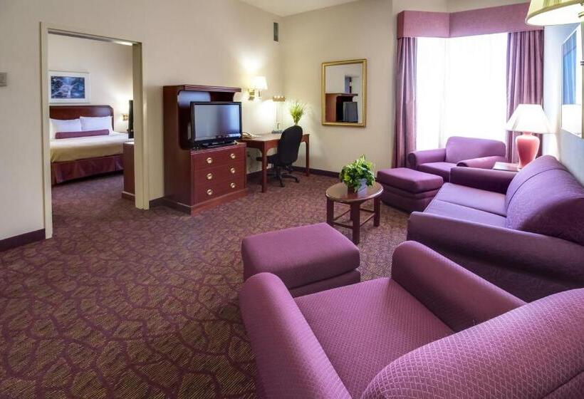 سوئیت با تخت بزرگ, Ashmore Inn And Suites Amarillo