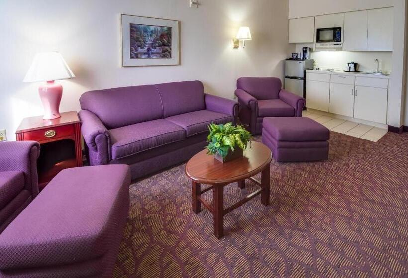 سوئیت با تخت بزرگ, Ashmore Inn And Suites Amarillo