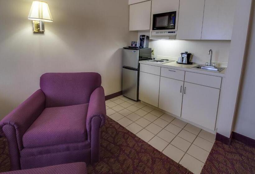 سوئیت با تخت بزرگ, Ashmore Inn And Suites Amarillo