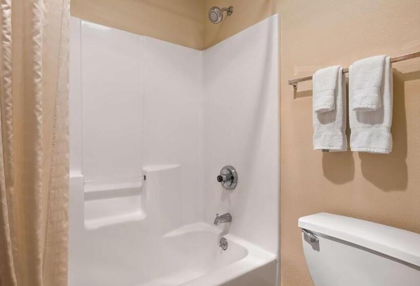 اتاق استاندارد با تخت بزرگ, Best Western Canal Winchester Inn  Columbus South East