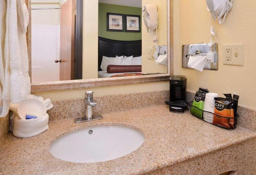 اتاق استاندارد با تخت بزرگ, Best Western Canal Winchester Inn  Columbus South East