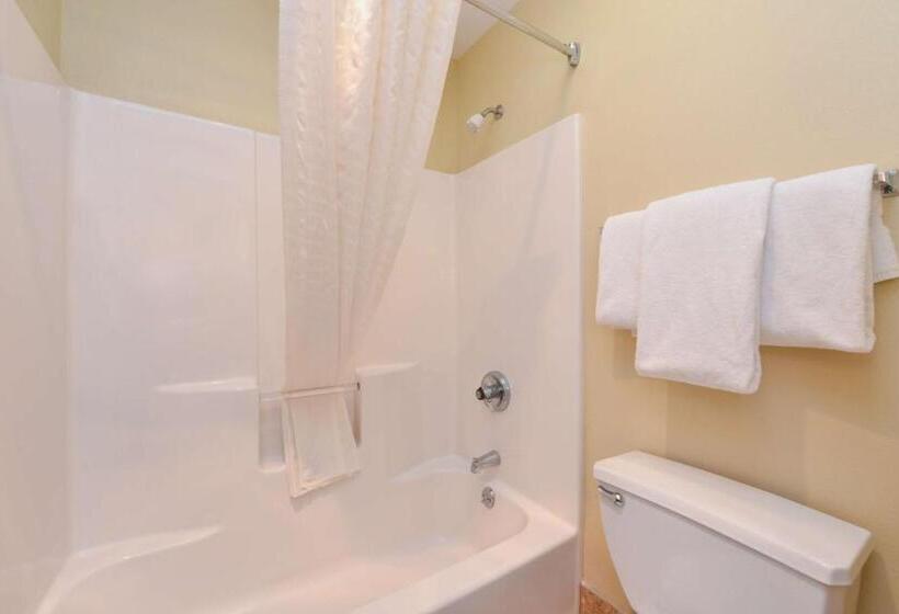 اتاق استاندارد, Best Western Canal Winchester Inn  Columbus South East