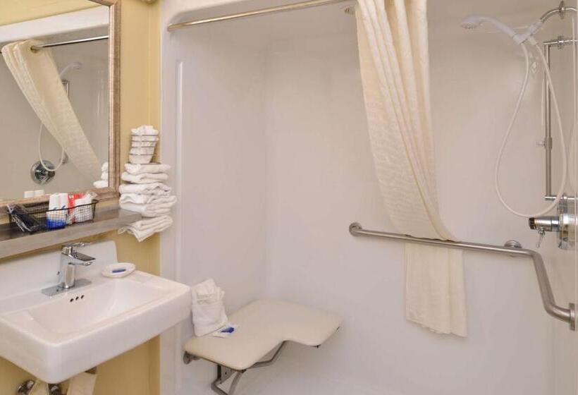 اتاق استاندارد برای معلولان, Best Western Canal Winchester Inn  Columbus South East