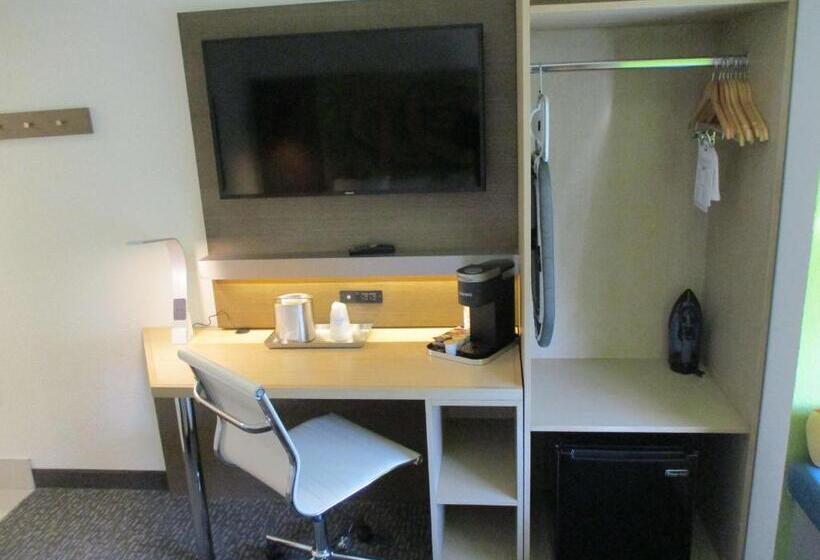 Standard Room Adapted for people with reduced mobility, Best Western El Paso Airport Entrada