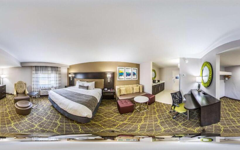 اتاق استاندارد با تخت بزرگ, Best Western Plus Clemson Hotel & Conference Center