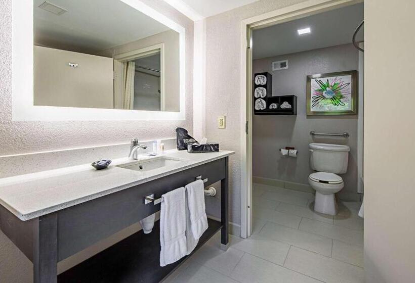 اتاق استاندارد با تخت بزرگ, Best Western Plus Clemson Hotel & Conference Center