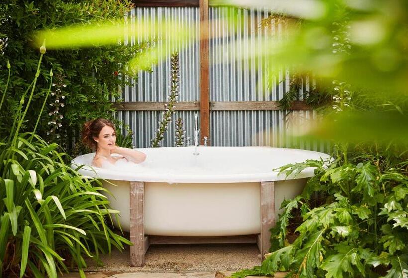 سوییت با چشم‌انداز باغ, Carneros Resort And Spa
