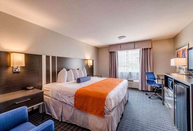 اتاق استاندارد با تخت دو نفره بزرگ برای معلولان, Guesthouse Inn And Suites Lexington