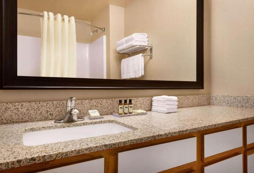 سوئیت با تخت بزرگ, Hawthorn Suites By Wyndham Oak Creek/milwaukee Airport