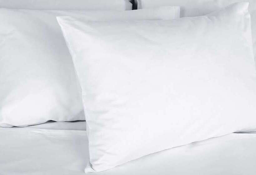 اتاق استاندارد با 2 تخت دوبل, Magnuson Hotel Marietta