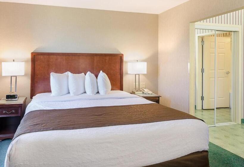 سوئیت با تخت بزرگ, Mainstay Suites Airport