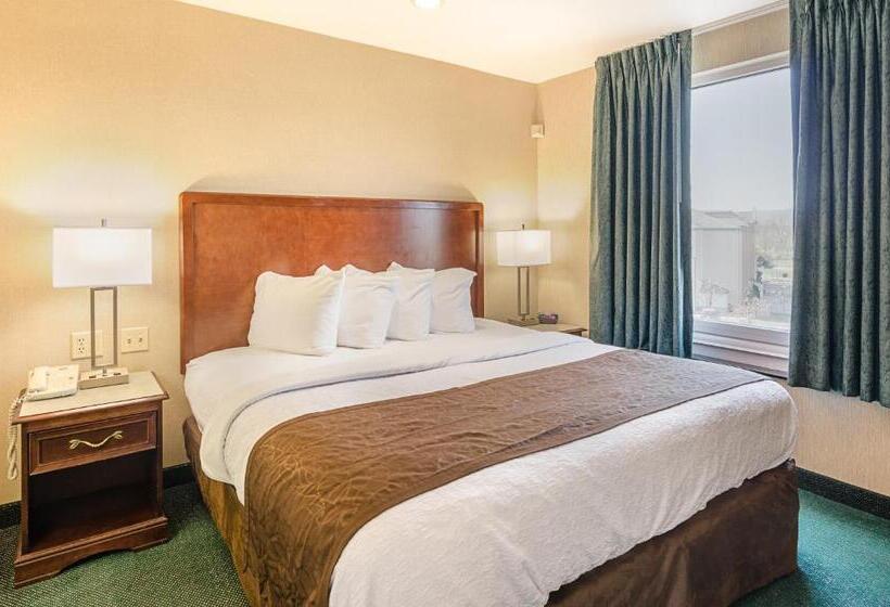 سوئیت با تخت بزرگ, Mainstay Suites Airport