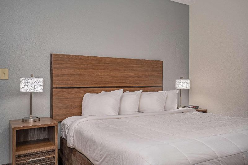 سوئیت با تخت بزرگ, Mainstay Suites Wilmington   University Area