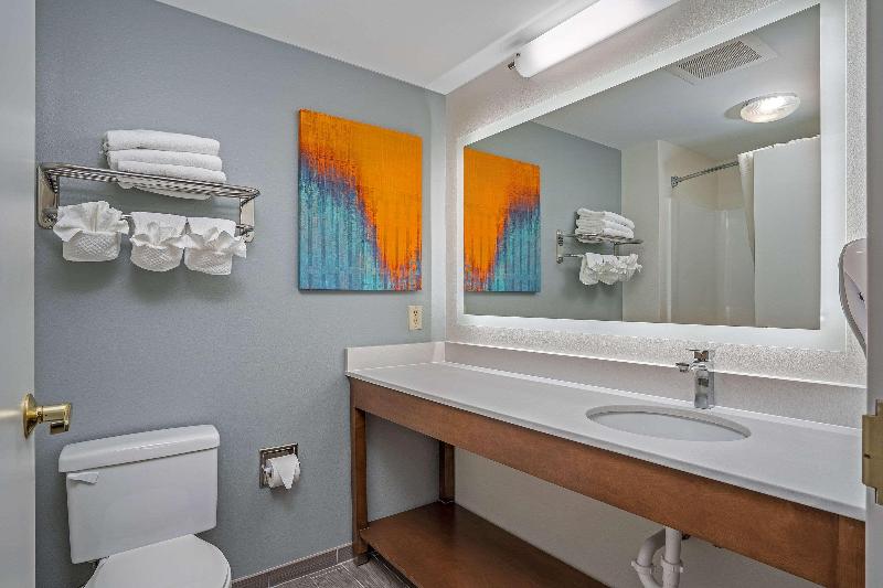 سوئیت با تخت بزرگ, Mainstay Suites Wilmington   University Area