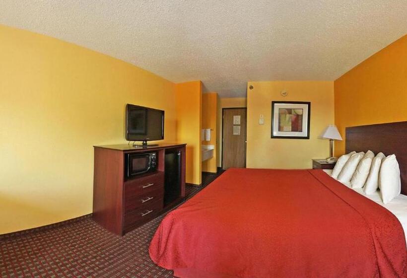 اتاق استاندارد با تخت بزرگ, Quality Inn Central Wisconsin Airport Mosinee