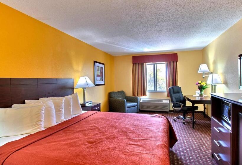 اتاق استاندارد با تخت بزرگ, Quality Inn Central Wisconsin Airport Mosinee