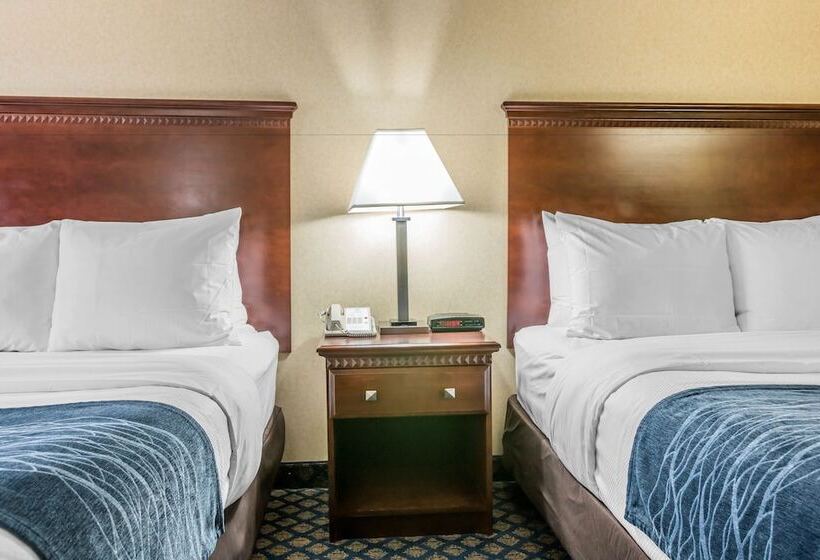 اتاق استاندارد با 2 تخت دوبل, Quality Inn Grand Blanc   Flint South