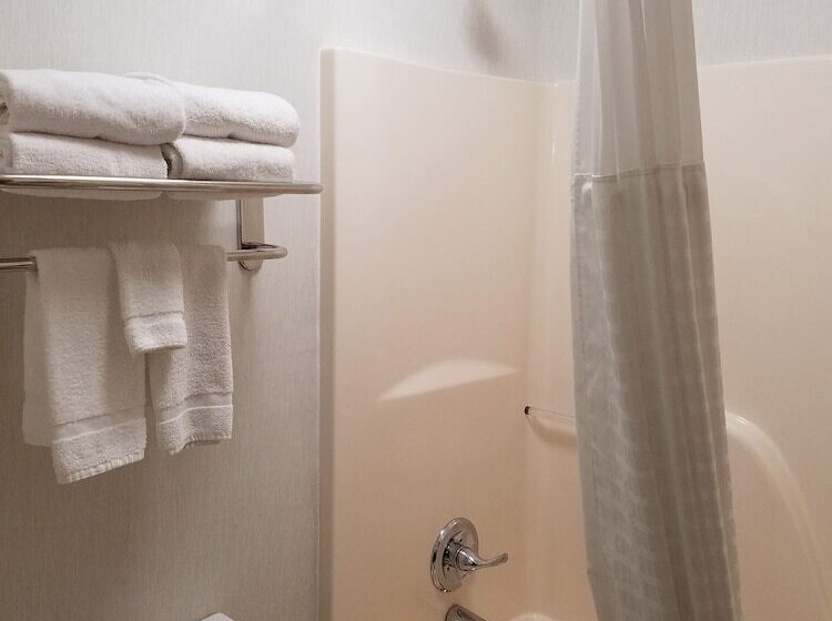 اتاق استاندارد با 2 تخت دوبل, Quality Inn Waverly