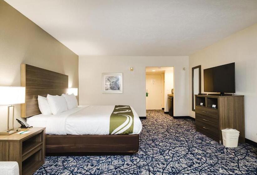 Suite Cama King, Quality Suites Hobby Airport