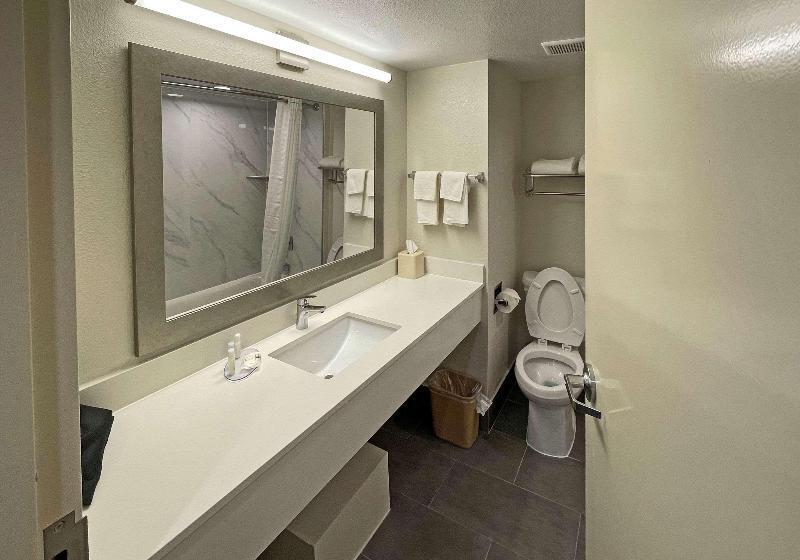 سوئیت با تخت بزرگ, Quality Suites Houston Hobby Airport